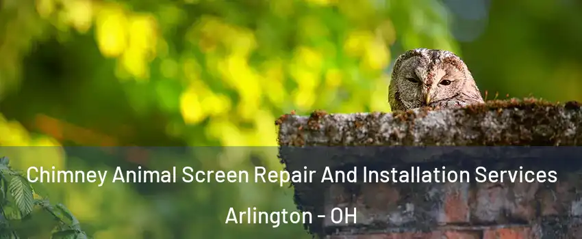 Chimney Animal Screen Repair And Installation Services Arlington - OH