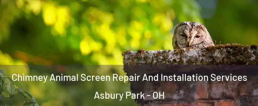 Chimney Animal Screen Repair And Installation Services Asbury Park - OH