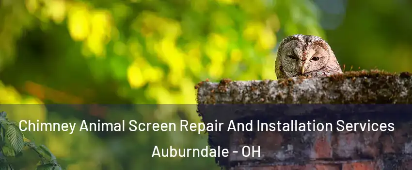 Chimney Animal Screen Repair And Installation Services Auburndale - OH