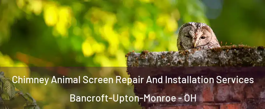 Chimney Animal Screen Repair And Installation Services Bancroft-Upton-Monroe - OH