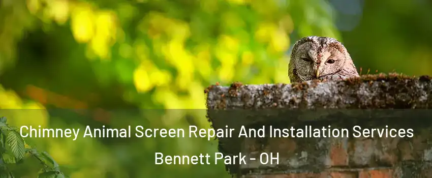 Chimney Animal Screen Repair And Installation Services Bennett Park - OH