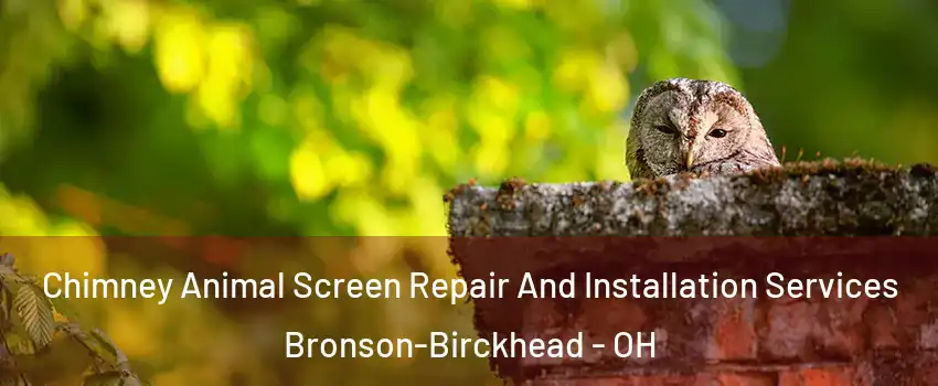 Chimney Animal Screen Repair And Installation Services Bronson-Birckhead - OH