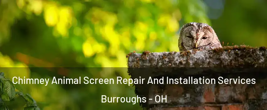 Chimney Animal Screen Repair And Installation Services Burroughs - OH