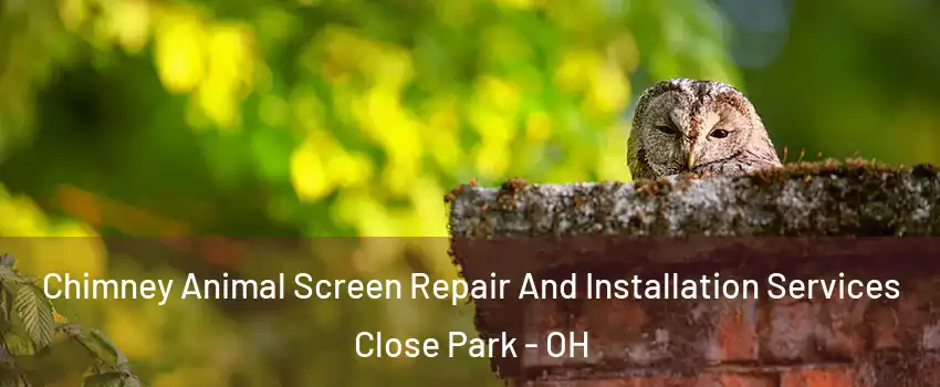 Chimney Animal Screen Repair And Installation Services Close Park - OH