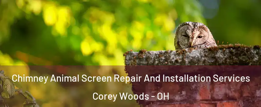 Chimney Animal Screen Repair And Installation Services Corey Woods - OH