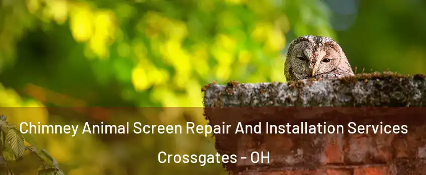 Chimney Animal Screen Repair And Installation Services Crossgates - OH