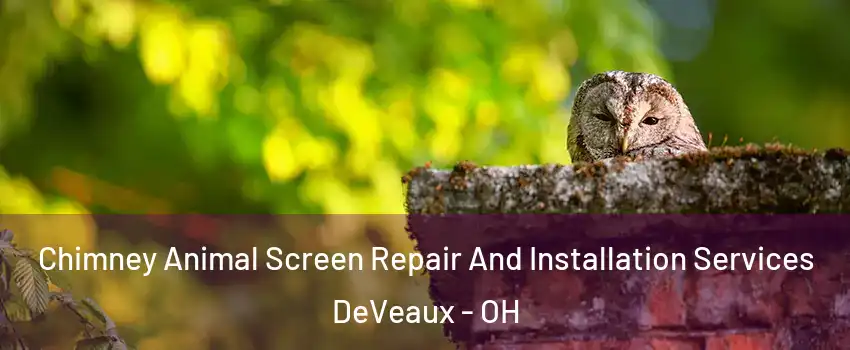 Chimney Animal Screen Repair And Installation Services DeVeaux - OH