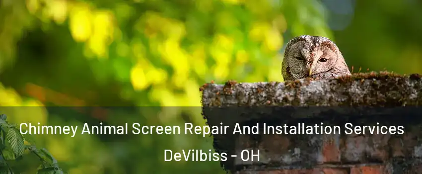 Chimney Animal Screen Repair And Installation Services DeVilbiss - OH