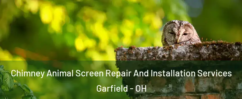 Chimney Animal Screen Repair And Installation Services Garfield - OH