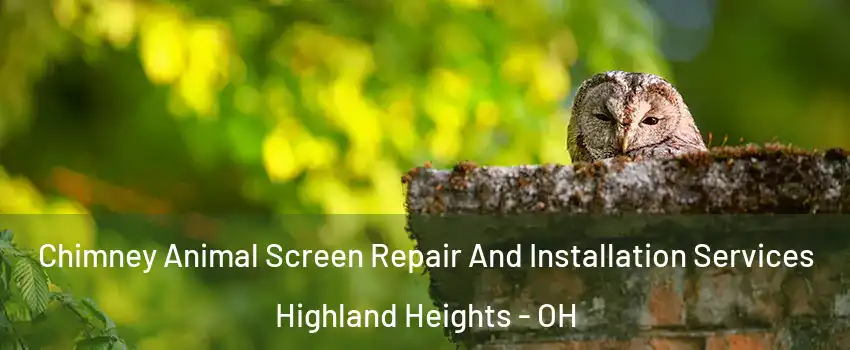 Chimney Animal Screen Repair And Installation Services Highland Heights - OH