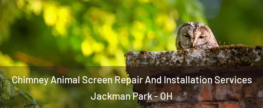 Chimney Animal Screen Repair And Installation Services Jackman Park - OH
