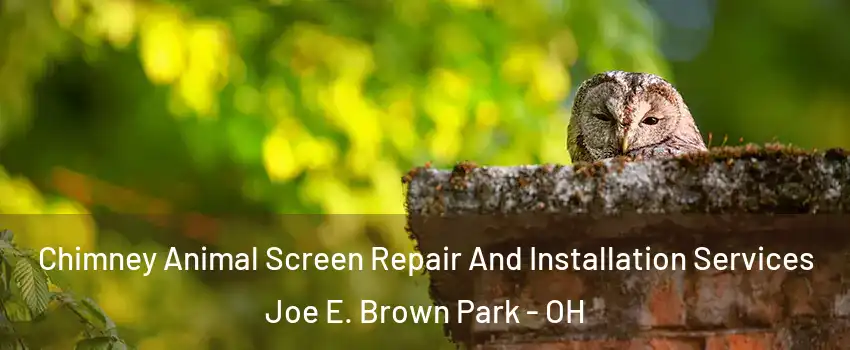 Chimney Animal Screen Repair And Installation Services Joe E. Brown Park - OH