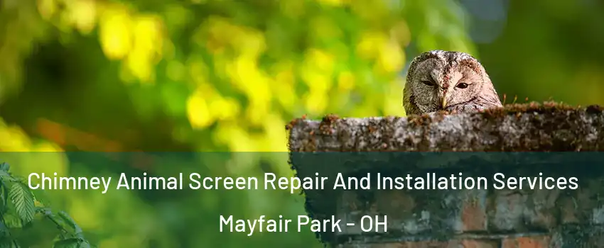 Chimney Animal Screen Repair And Installation Services Mayfair Park - OH