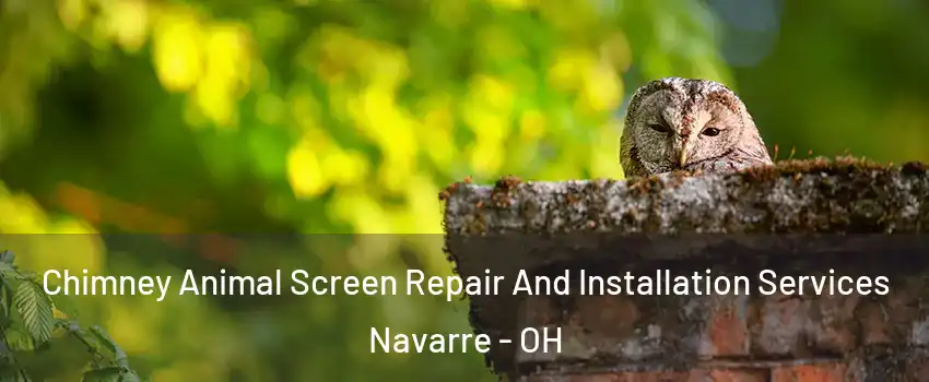 Chimney Animal Screen Repair And Installation Services Navarre - OH