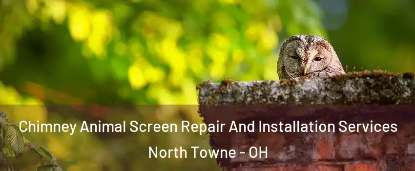 Chimney Animal Screen Repair And Installation Services North Towne - OH