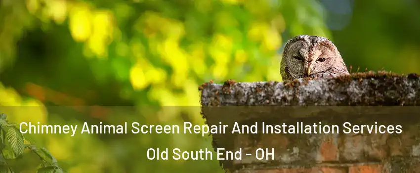 Chimney Animal Screen Repair And Installation Services Old South End - OH