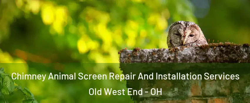 Chimney Animal Screen Repair And Installation Services Old West End - OH