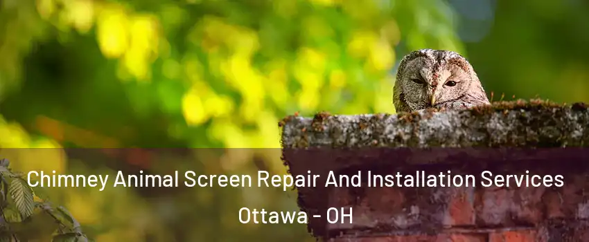 Chimney Animal Screen Repair And Installation Services Ottawa - OH