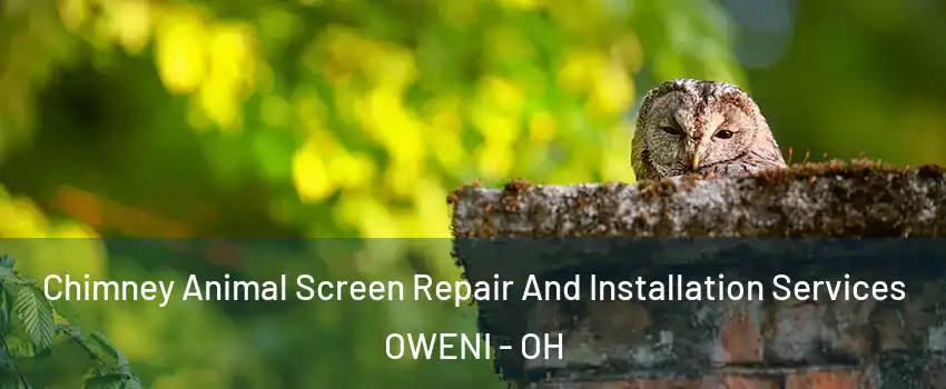 Chimney Animal Screen Repair And Installation Services OWENI - OH