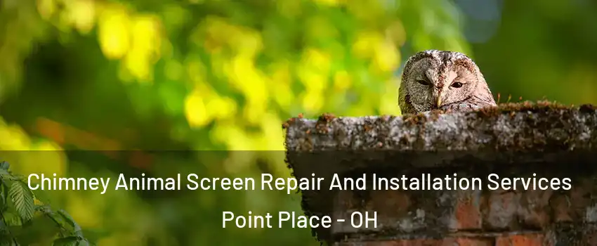 Chimney Animal Screen Repair And Installation Services Point Place - OH