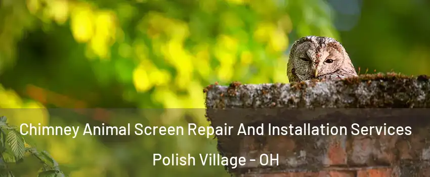 Chimney Animal Screen Repair And Installation Services Polish Village - OH