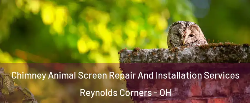 Chimney Animal Screen Repair And Installation Services Reynolds Corners - OH