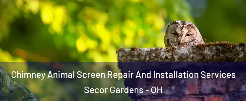 Chimney Animal Screen Repair And Installation Services Secor Gardens - OH
