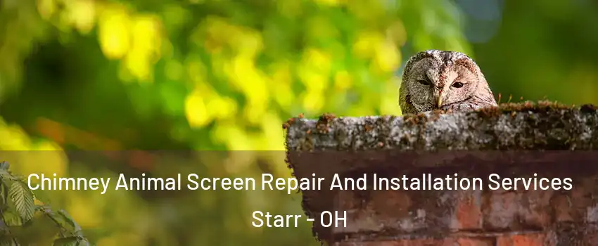 Chimney Animal Screen Repair And Installation Services Starr - OH