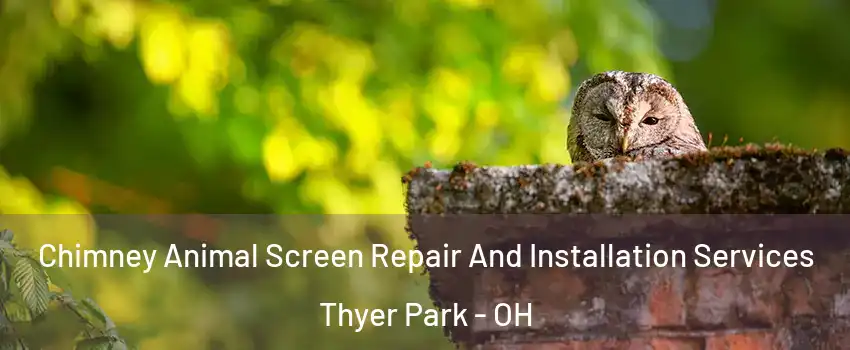 Chimney Animal Screen Repair And Installation Services Thyer Park - OH