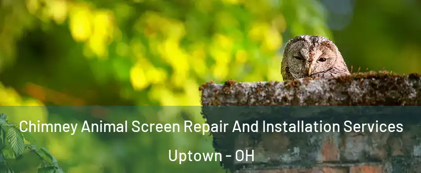 Chimney Animal Screen Repair And Installation Services Uptown - OH