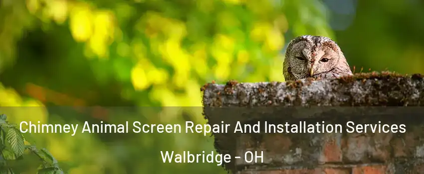 Chimney Animal Screen Repair And Installation Services Walbridge - OH