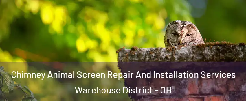 Chimney Animal Screen Repair And Installation Services Warehouse District - OH