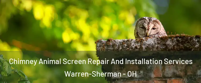 Chimney Animal Screen Repair And Installation Services Warren-Sherman - OH