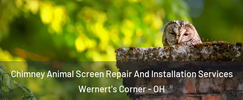 Chimney Animal Screen Repair And Installation Services Wernert's Corner - OH