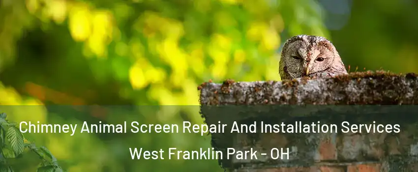 Chimney Animal Screen Repair And Installation Services West Franklin Park - OH