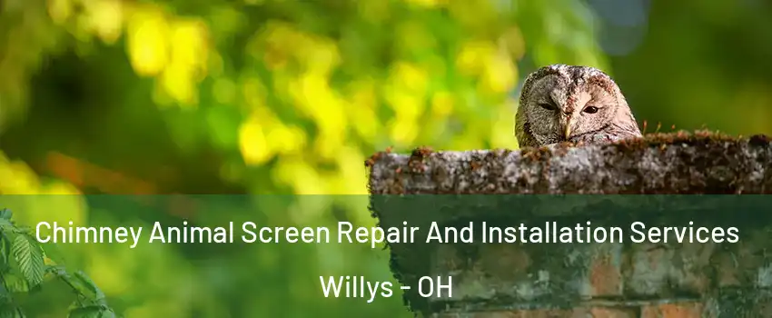 Chimney Animal Screen Repair And Installation Services Willys - OH