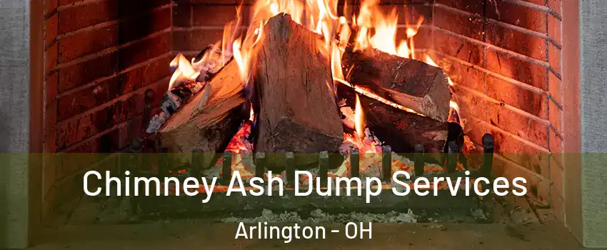 Chimney Ash Dump Services Arlington - OH