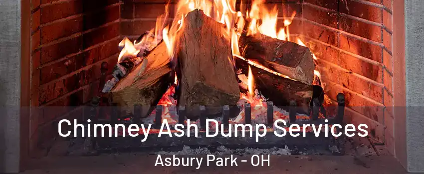 Chimney Ash Dump Services Asbury Park - OH