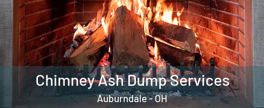 Chimney Ash Dump Services Auburndale - OH