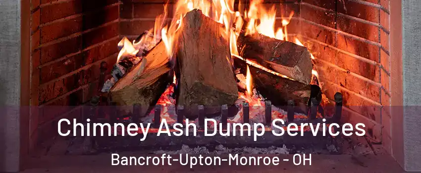 Chimney Ash Dump Services Bancroft-Upton-Monroe - OH