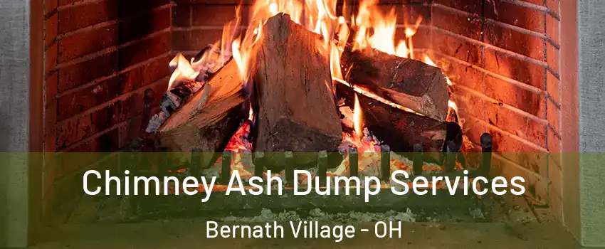 Chimney Ash Dump Services Bernath Village - OH