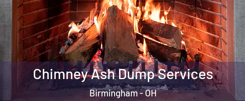 Chimney Ash Dump Services Birmingham - OH
