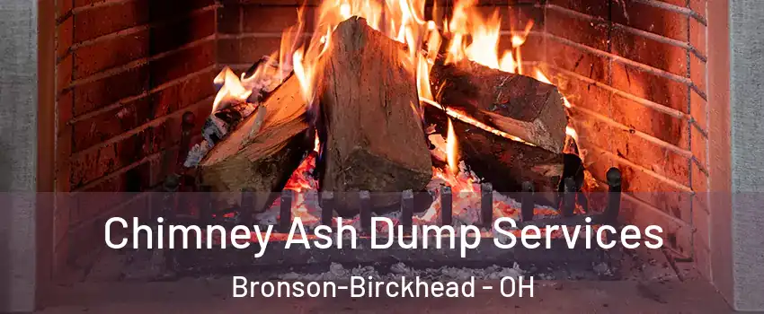 Chimney Ash Dump Services Bronson-Birckhead - OH