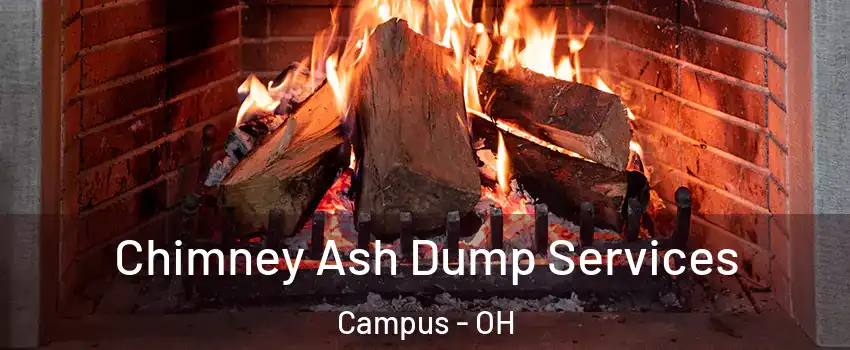 Chimney Ash Dump Services Campus - OH