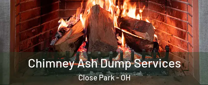 Chimney Ash Dump Services Close Park - OH