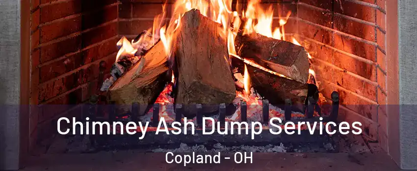 Chimney Ash Dump Services Copland - OH