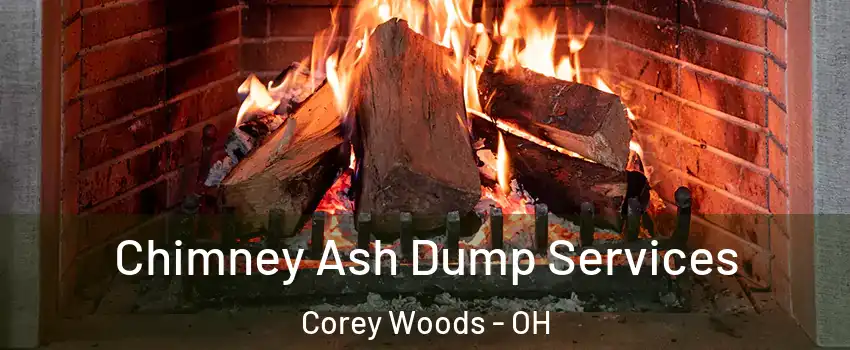 Chimney Ash Dump Services Corey Woods - OH