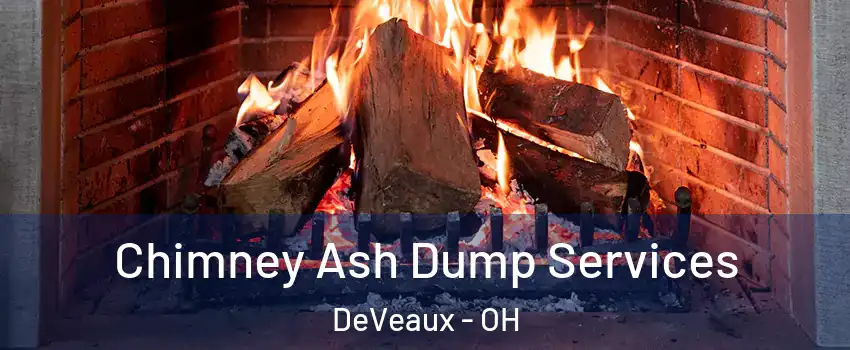 Chimney Ash Dump Services DeVeaux - OH
