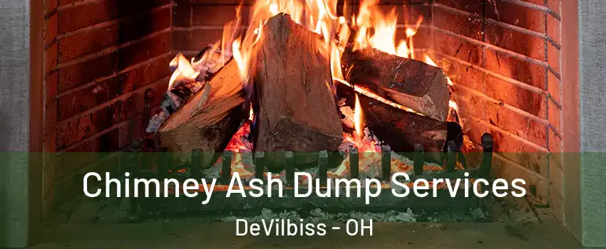 Chimney Ash Dump Services DeVilbiss - OH