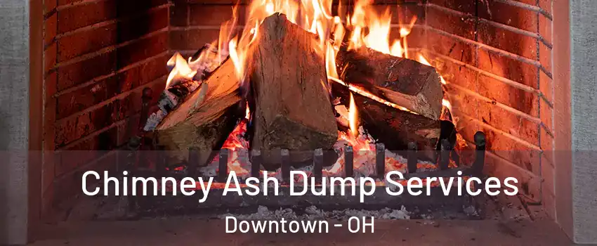 Chimney Ash Dump Services Downtown - OH
